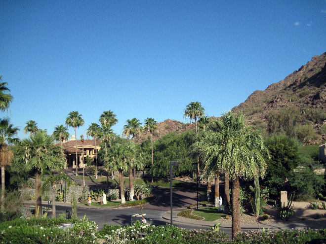Palm trees on the Phoenician Grounds